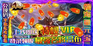 《战争之王》VIP